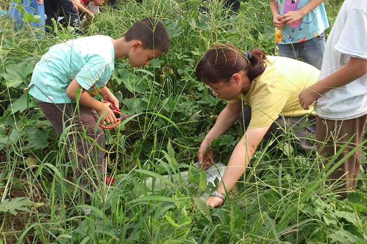 福智國小的老師帶著學生，在長滿雜草和瓜葉的農地裡尋寶。找到一顆大冬瓜後，老師幫忙拔，孩子用剪刀剪瓜蒂，大手小手，互助合作。