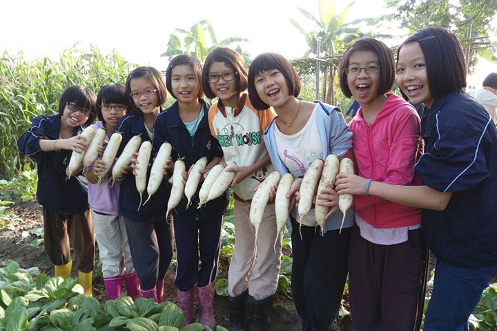 福智國小的孩子們到福智教育園區的農地進行農耕教育，學習採收白蘿蔔等作物。
