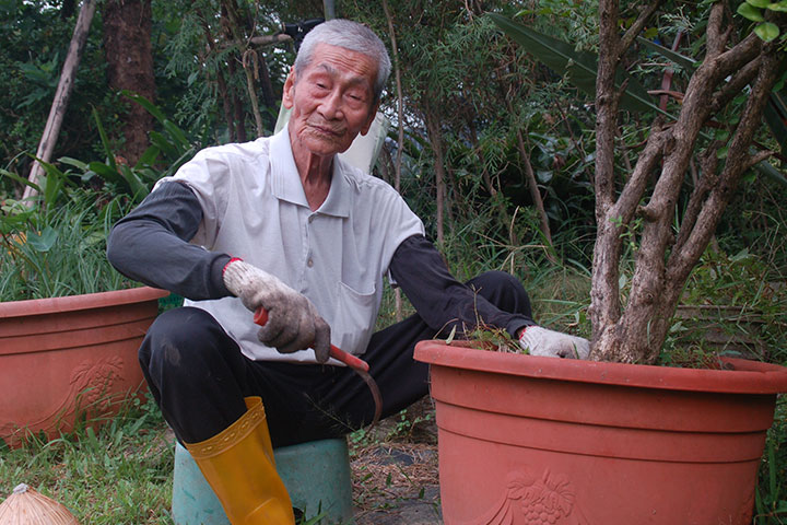蔣阿公已96歲，依然歡喜、認真地當義工。