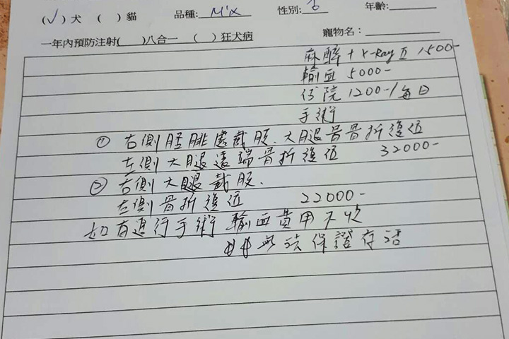獸醫師的診斷書上，詳細說明小狗的傷勢以及診療金報價