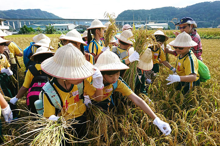 台中霧峰國小的學生正專心的聽講師講課